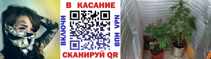 Где найти наркотики Великие Луки ГАШИШ  blacksprut ТОР  МЕФ  КОКАИН 