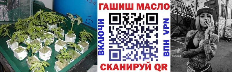 ТГК жижа  darknet Telegram  Великие Луки 