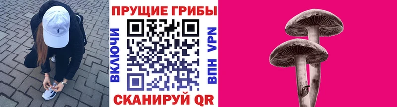 Галлюциногенные грибы Psilocybe  Великие Луки 