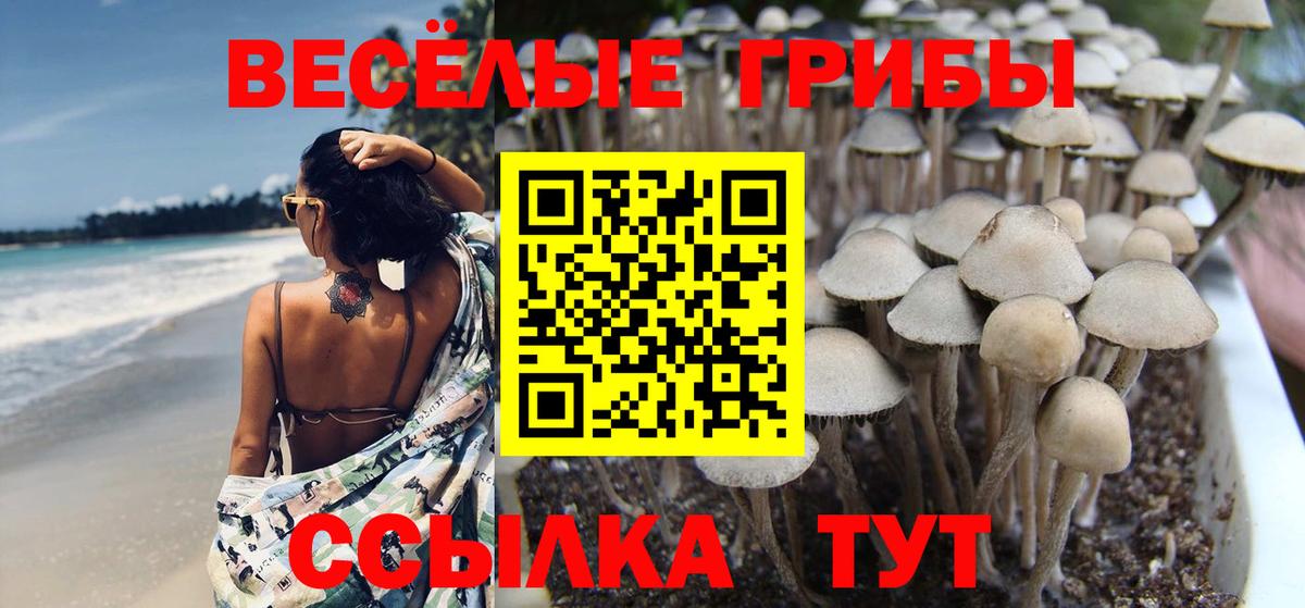 Псилоцибиновые грибы GOLDEN TEACHER  Вход с VPN  Галлюциногенные грибы мухоморы  Великие Луки 