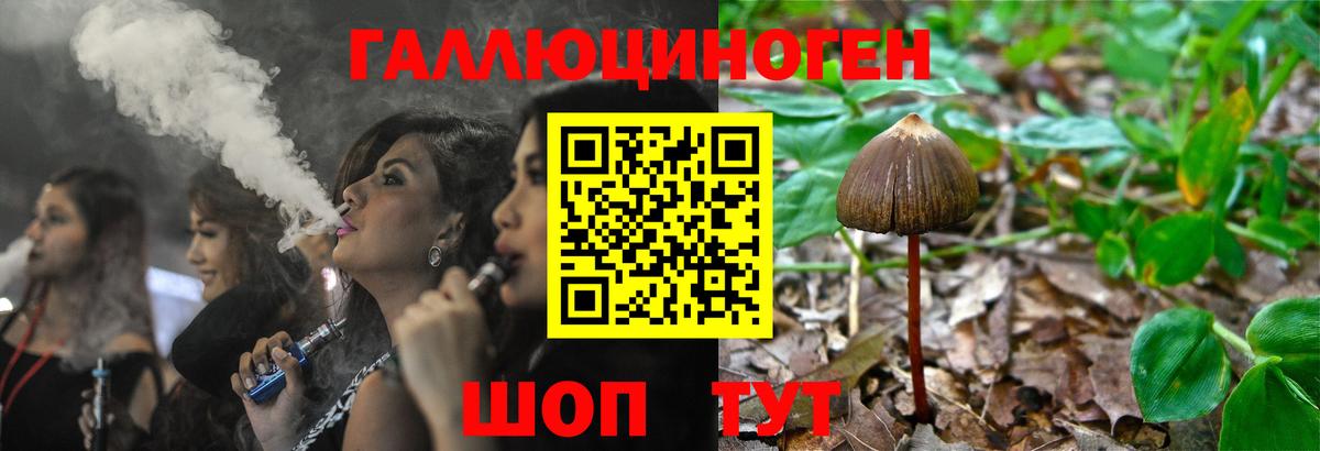 Псилоцибиновые грибы прущие грибы  Великие Луки  Галлюциногенные грибы Cubensis 